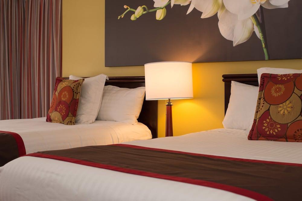 Hotel Palma Real サンホセ エクステリア 写真
