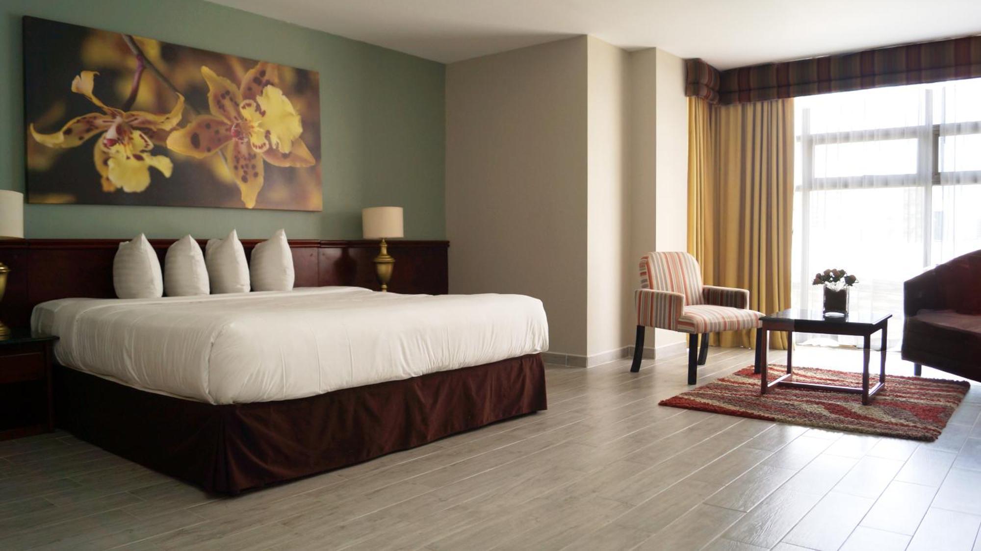 Hotel Palma Real サンホセ エクステリア 写真